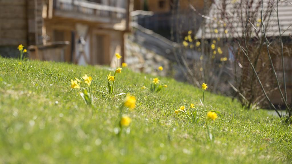 Chaletdorf Bergherz Sankt Johann im Pongau Exterior foto